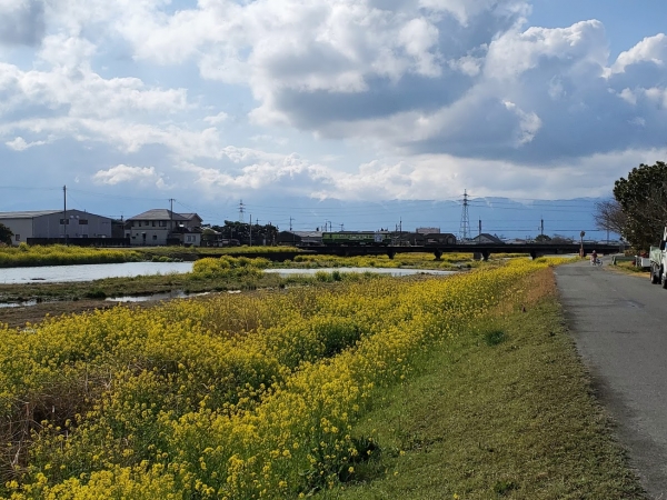 甘木の河川敷と甘木線