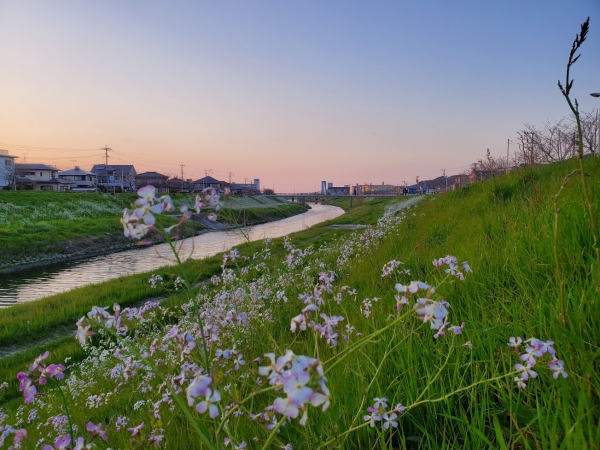 御笠川